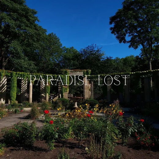 Doruk Doyran - 'Paradise Lost' [Ringtone]