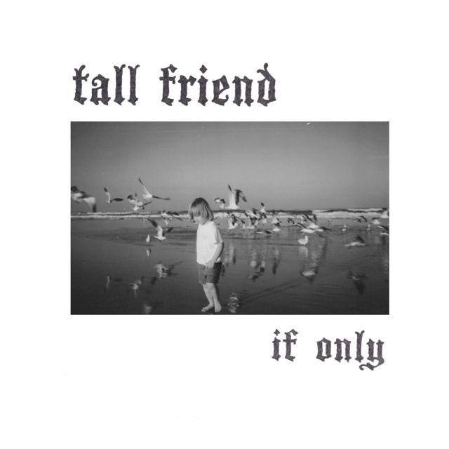 Tall Friend - 'if only' [Ringtone]