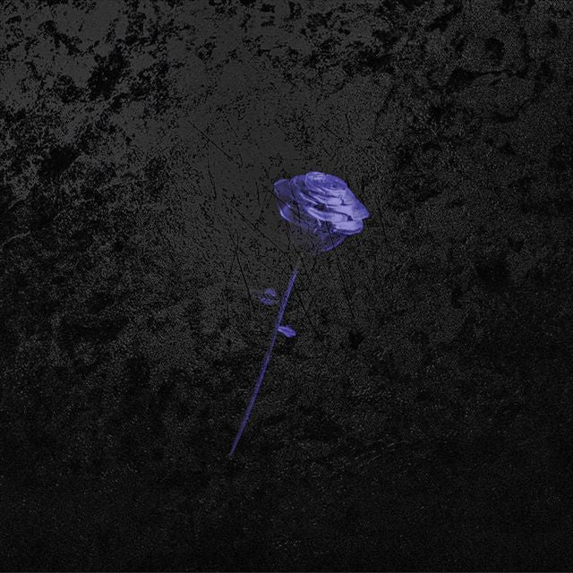 Sainvil - 'Moonlight' [Ringtone]