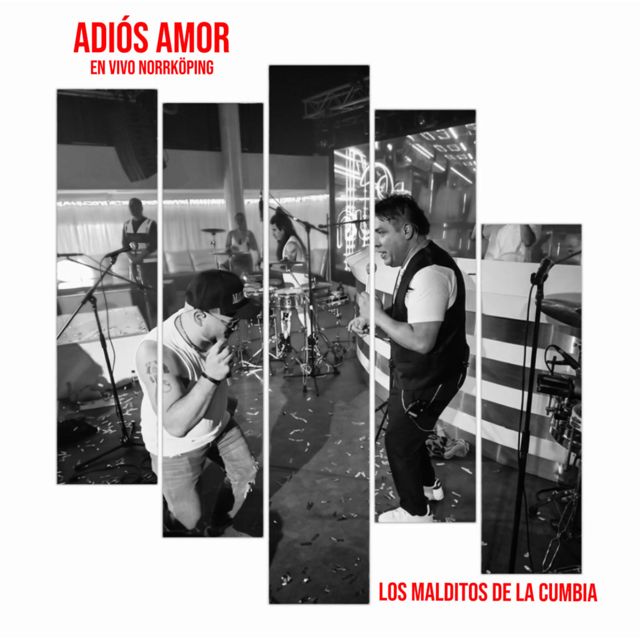Los Malditos De La Cumbia - 'Adiós Amor (En Vivo Norrköping)' [Ringtone]