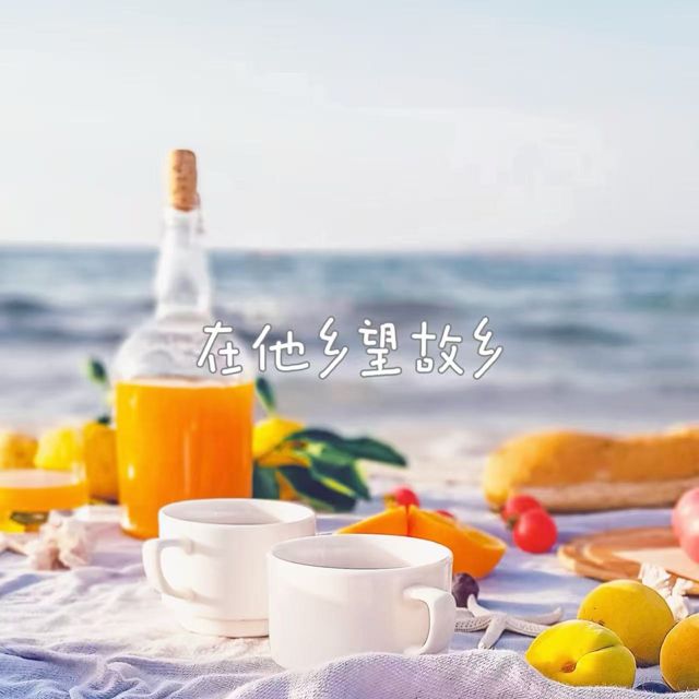 bo一霖 - '在他乡望故乡' [Ringtone]