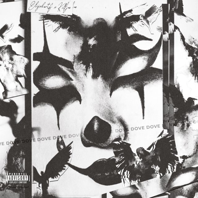 Elijxhwtf - 'Dove (feat. Killjae)' [Ringtone]