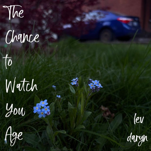 lev daryn - 'The Chance to Watch You Age (Demo)' [Ringtone]