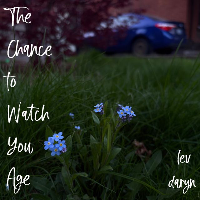 lev daryn - 'The Chance to Watch You Age (Demo)' [Ringtone]