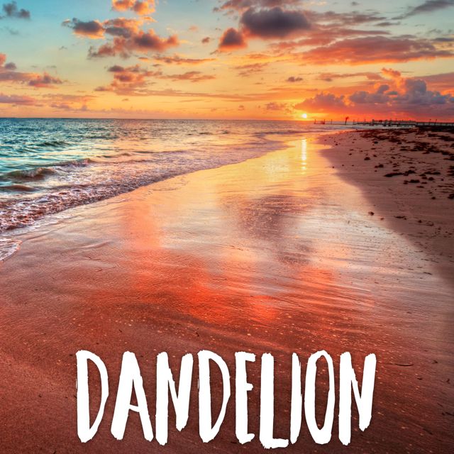 Tropical Jawns - 'Dandelion (Marimba with Instrumental)' [Ringtone]