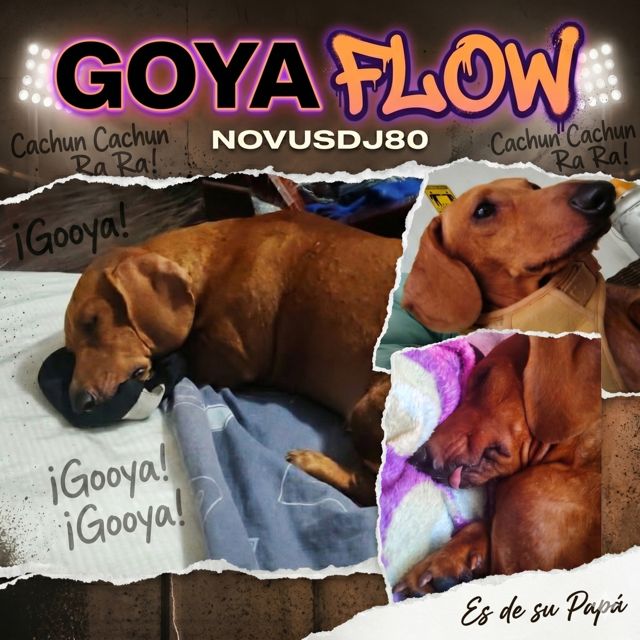 NovusDj80 - 'Goya Flow' [Ringtone]