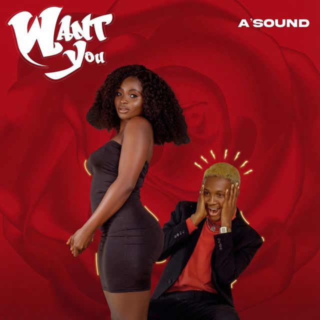 Asound - 'Want You' [Ringtone]