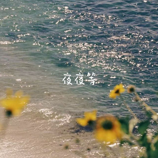 白兰滴 - '夜夜等' [Ringtone]