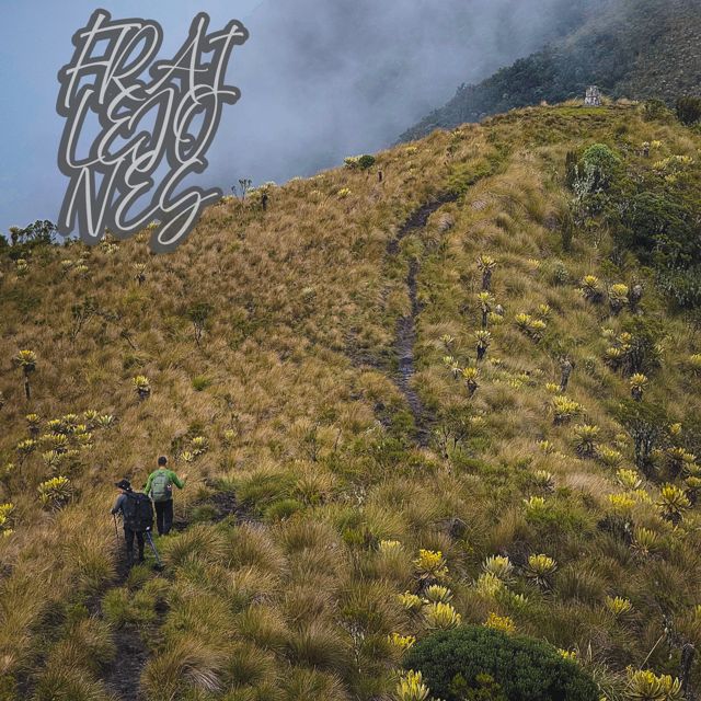 JANQUEN AKL - 'Frailejones' [Ringtone]