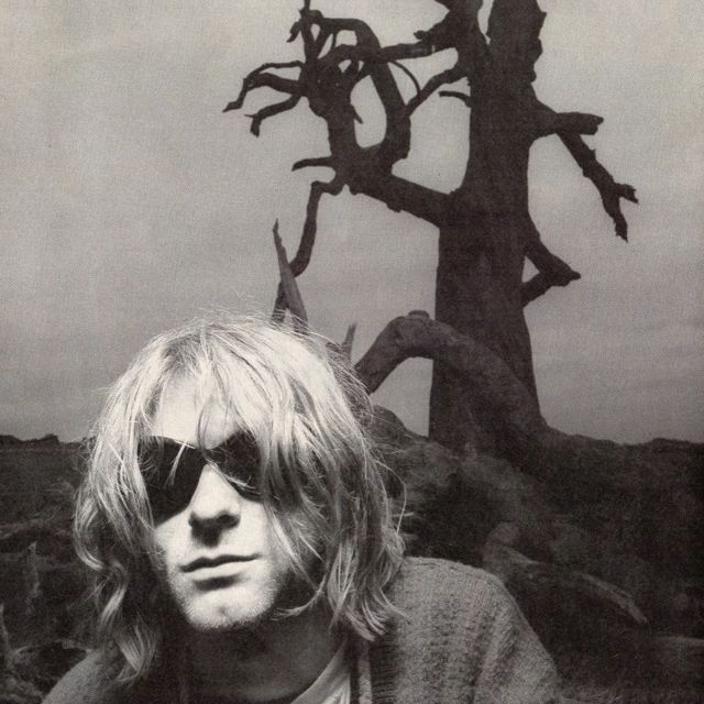 Ilyfall - 'Saint Laurent' [Ringtone]