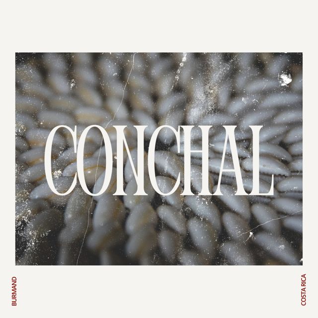 Burmand - 'Conchal' [Ringtone]