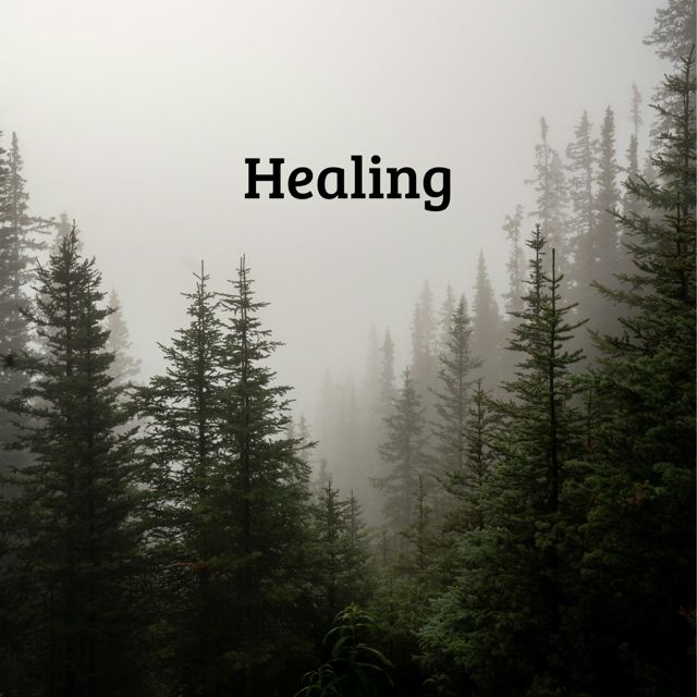 Praise - 'Healing (feat. Worship Orchestra)' [Ringtone]