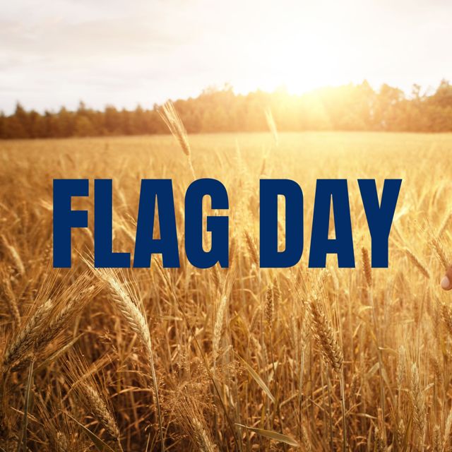 Juan Jose Raiz - 'My Father's Daughter (from "Flag Day")' [Ringtone]