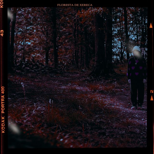 kodeline - 'Floresta de Xereca' [Ringtone]