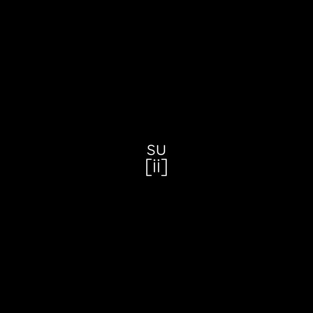 SUII - 'Try Again' [Ringtone]