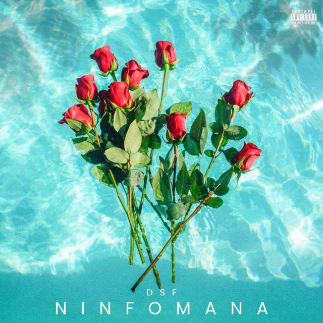 DSF - 'NINFOMANA (feat. El Onfirex Rd & Dany 06)' [Ringtone]