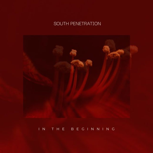 South Penetration - 'In The Beginning' [Tono de llamada]