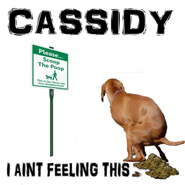 Cassidy - 'I Aint Feelin This Shit' [Ringtone]