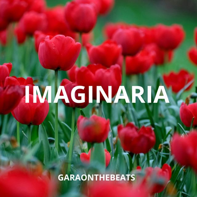 Garaonthebeats - 'Imaginaria' [Ringtone]