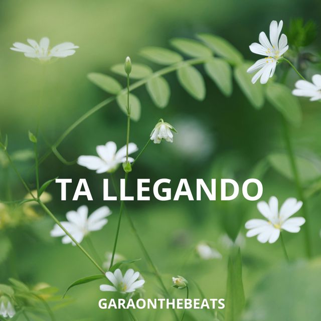 Garaonthebeats - 'Ta llegando' [Ringtone]