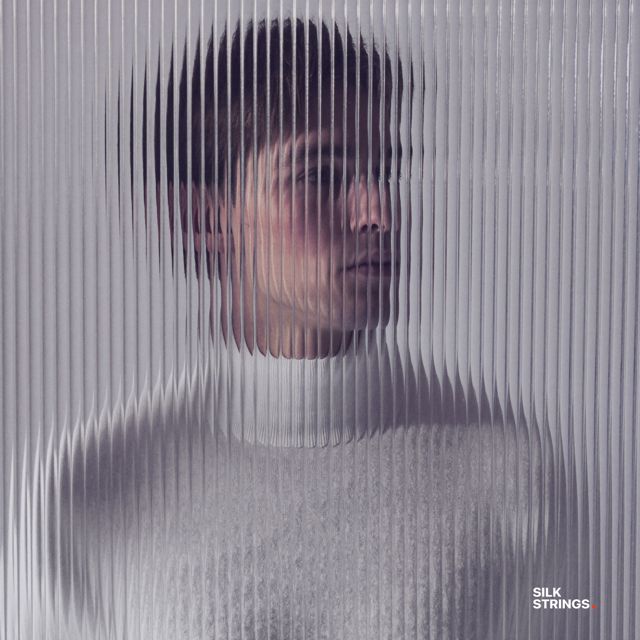 Silk Strings - 'You're In Control' [Ringtone]
