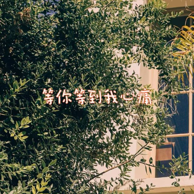 bo一霖 - '等你等到我心痛' [Ringtone]