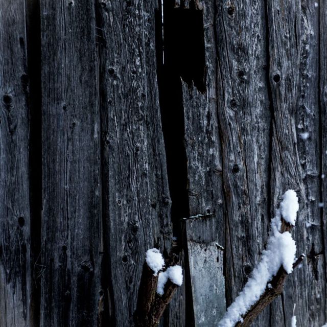 Morning Haze - 'Cold Ashes' [Ringtone]