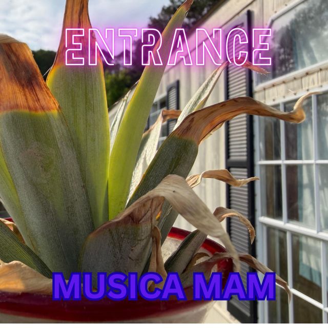 MUSICA MAM - 'ENTRADA' [Ringtone]
