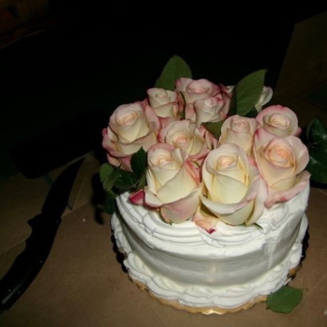 Jordano - 'Koi' [Ringtone]