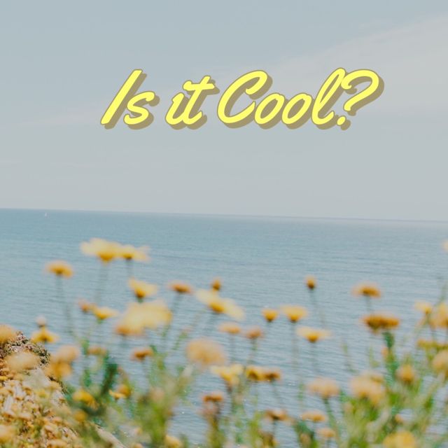 Sorry It's Over - 'Is it Cool?' [Ringtone]
