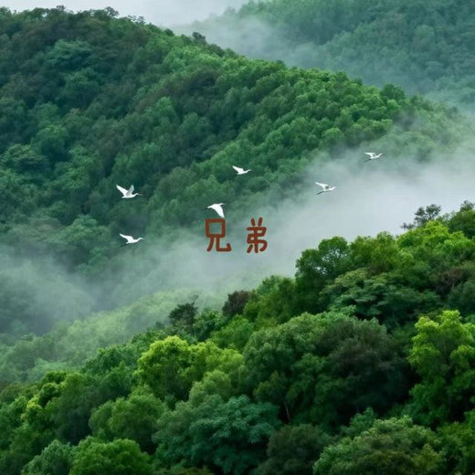 白兰滴 - '兄弟' [Ringtone]