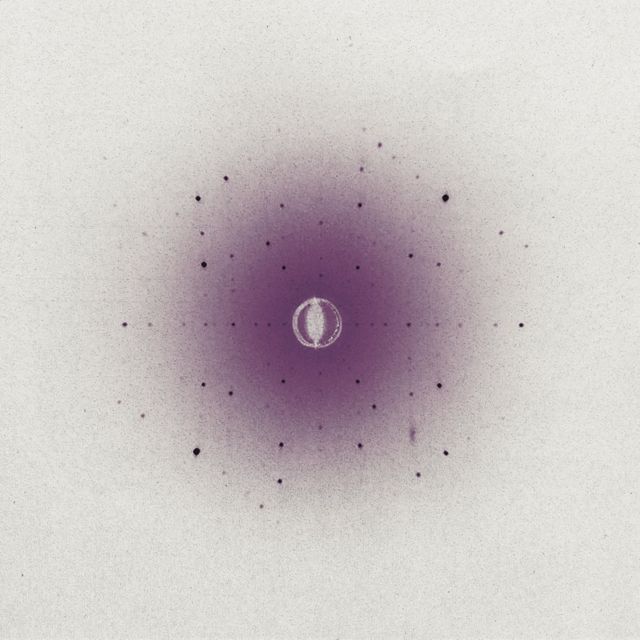 Chloe Battelle - 'Tokyo' [Ringtone]
