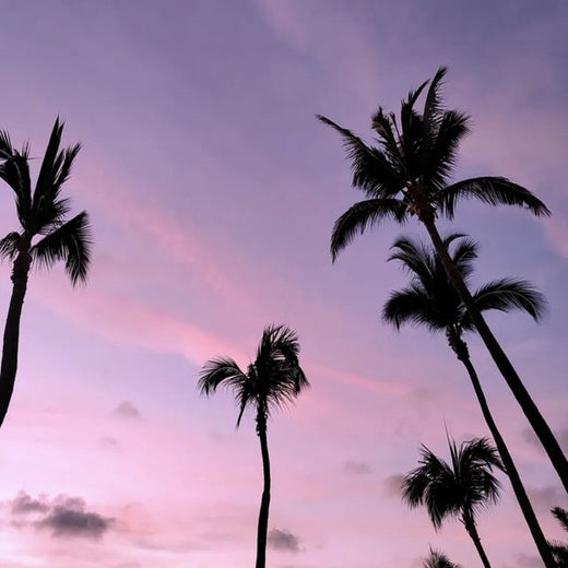 Garibaldo__ - 'Pink Sunset' [Ringtone]