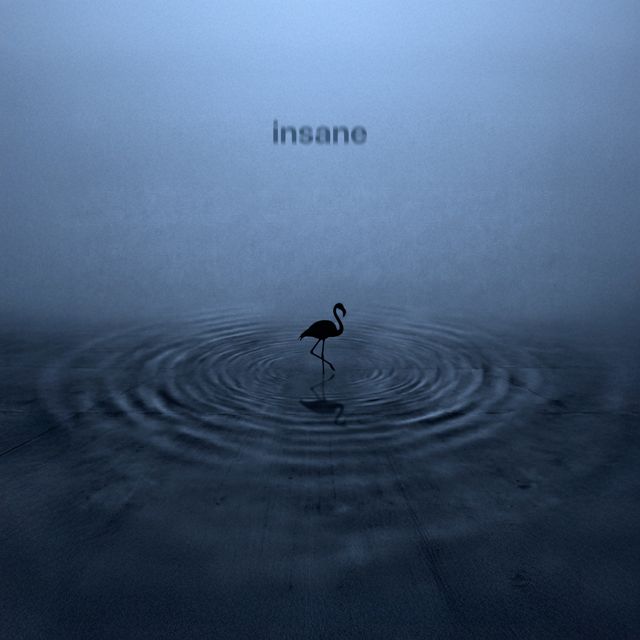 Bahía Flamingo - 'Insane' [Ringtone]