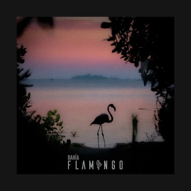 Bahía Flamingo - 'Sombras (Acústico)' [Ringtone]