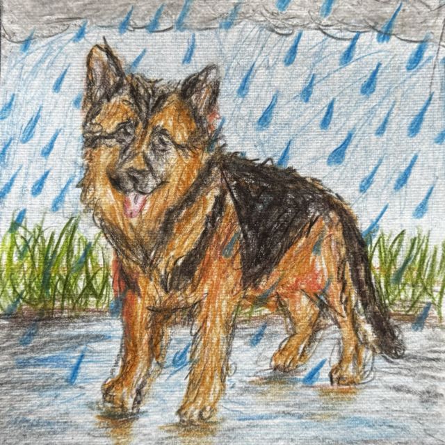 Doctor Tongue - 'Dog in the Rain' [Ringtone]