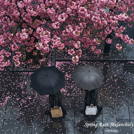 OllyWendy - 'Healing Blossom' [Ringtone]