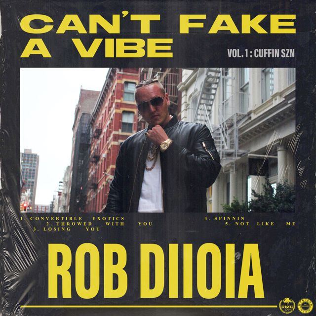 Rob Diioia - 'Not Like Me' [Ringtone]