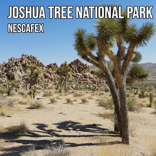 nEscafeX - 'Joshua Tree National Park' [Ringtone]