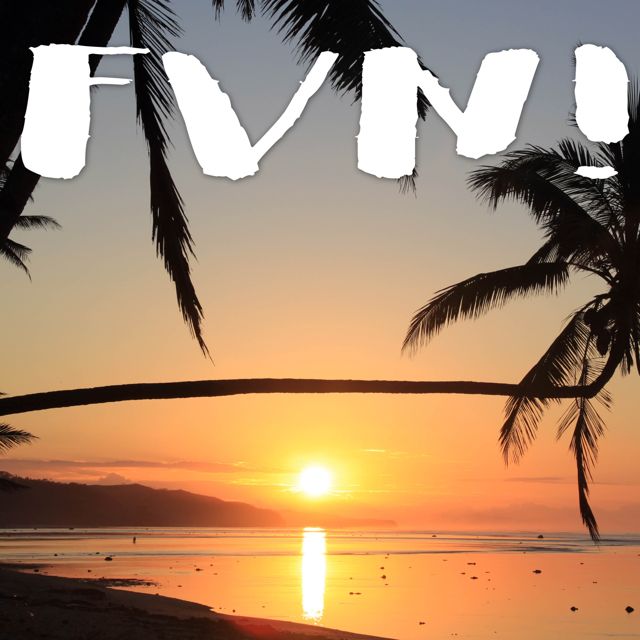 Tropical Jawns - 'FVN! (Marimba Version)' [Ringtone]