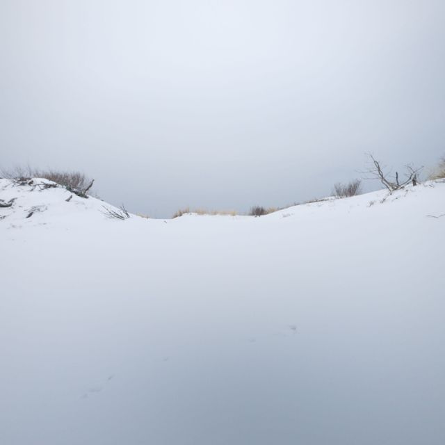 Silas Moon - 'Lunar Tide' [Ringtone]