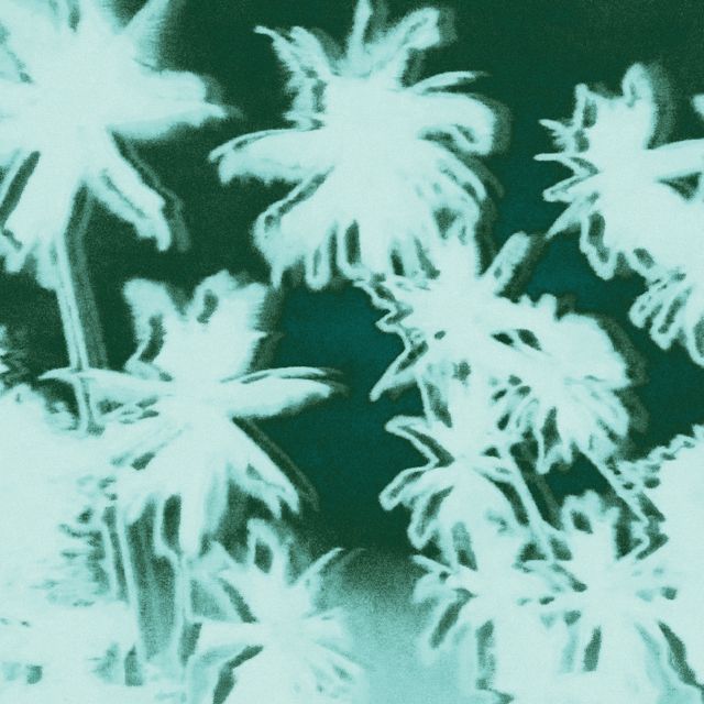 Paperwater - 'AVANSE (feat. Rara)' [Ringtone]