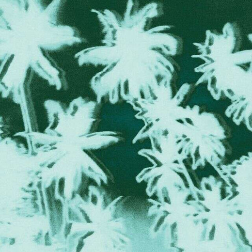 Paperwater - 'AVANSE (feat. Rara)' [Ringtone]