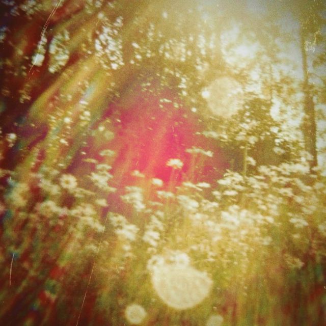 be kind to bees - 'soothing' [Ringtone]