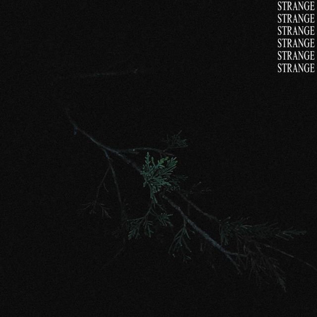 Anthony Ballads - 'STRANGE' [Ringtone]