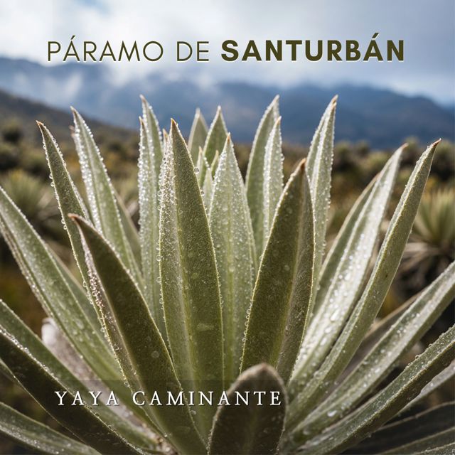 Yaya Caminante - 'Páramo de Santurbán' [Ringtone]