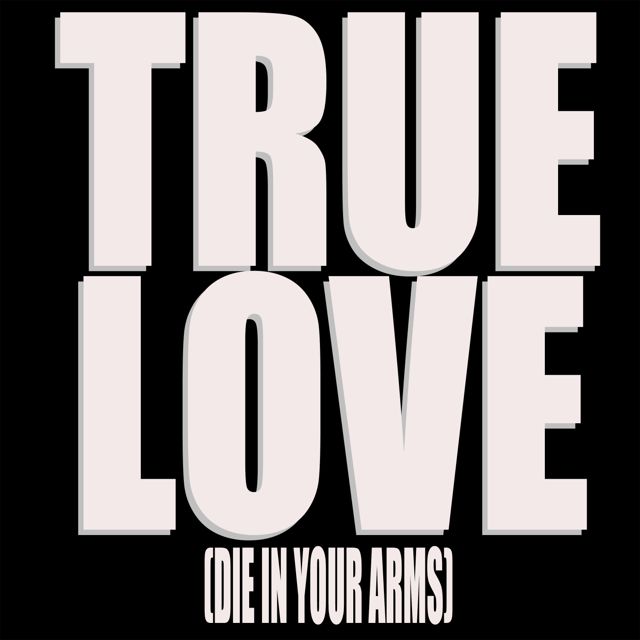 Dj Slizzurp - 'True Love (Die In Your Arms) (Chorus Intro)' [Ringtone]