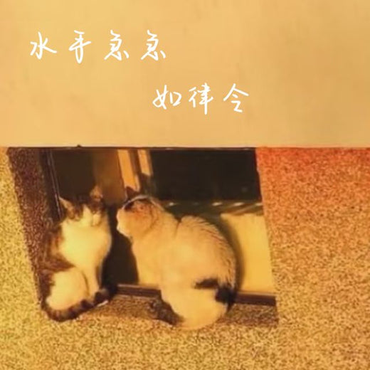 梨子芹菜 - '水手急急如律令' [Ringtone]