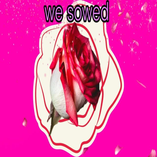 Tom Beanz - 'WE SOWED' [Ringtone]
