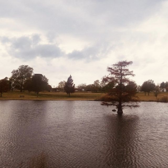 Brake For Turtles - 'The Actor (Demo)' [Ringtone]